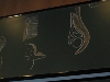 Myologie du Membre Inférieur - DSCN7680.jpg (385 ko)