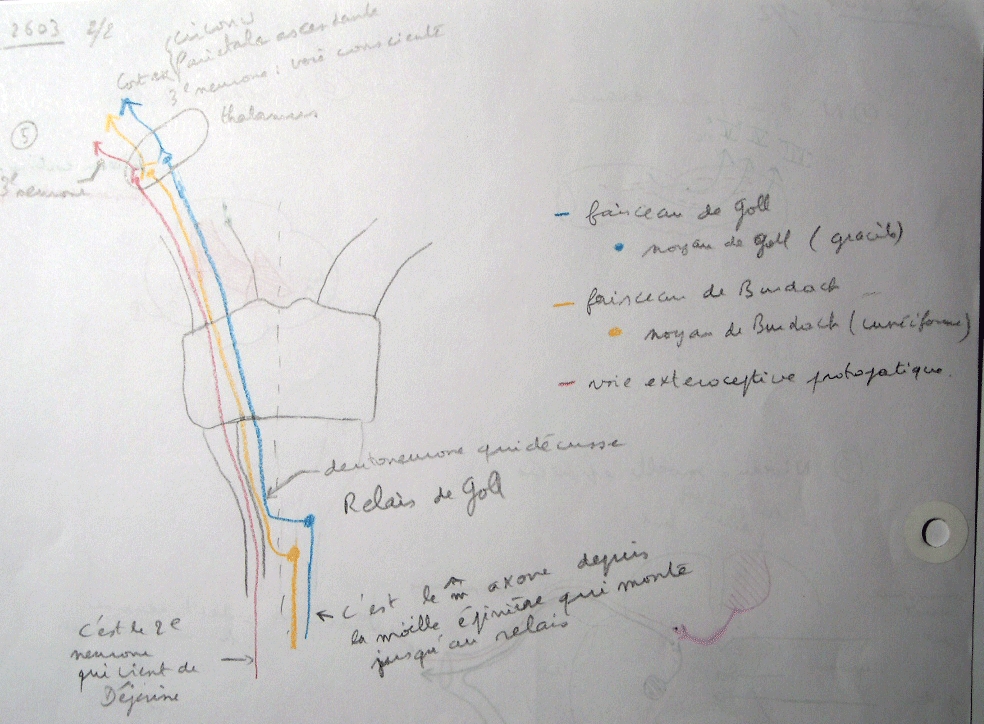 cours-m-decine-info-impression-de-sch-ma